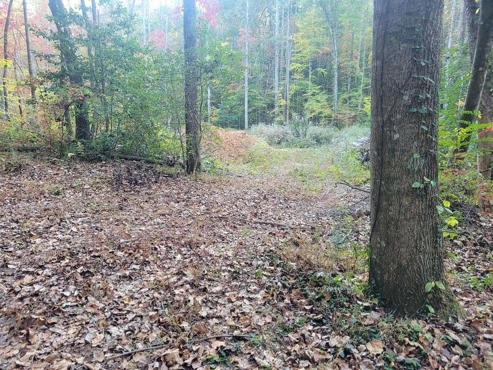 6.35 Acres of Residential Land for Sale in Ellijay, Georgia