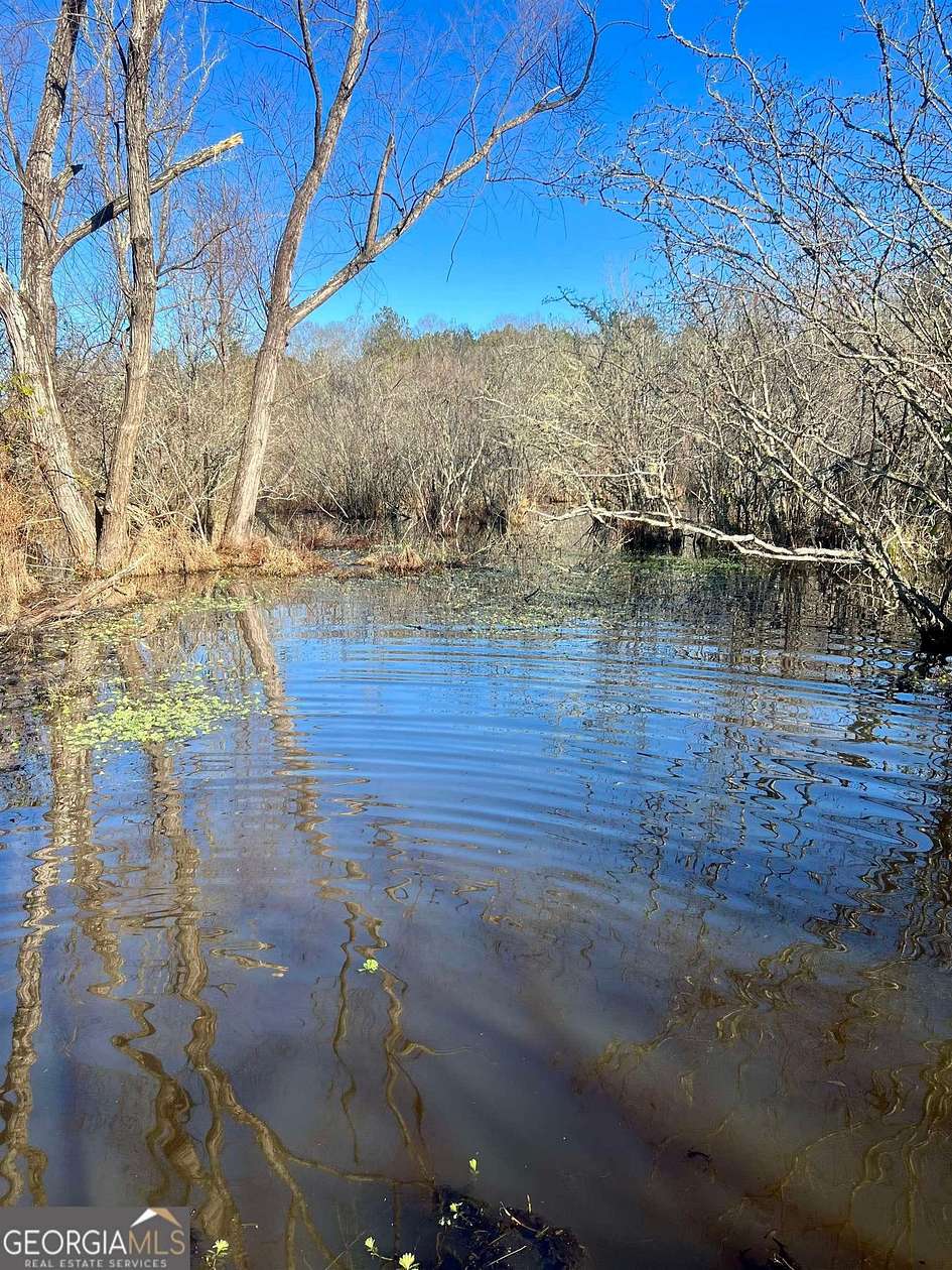 5 Acres of Land for Sale in Franklin, Georgia