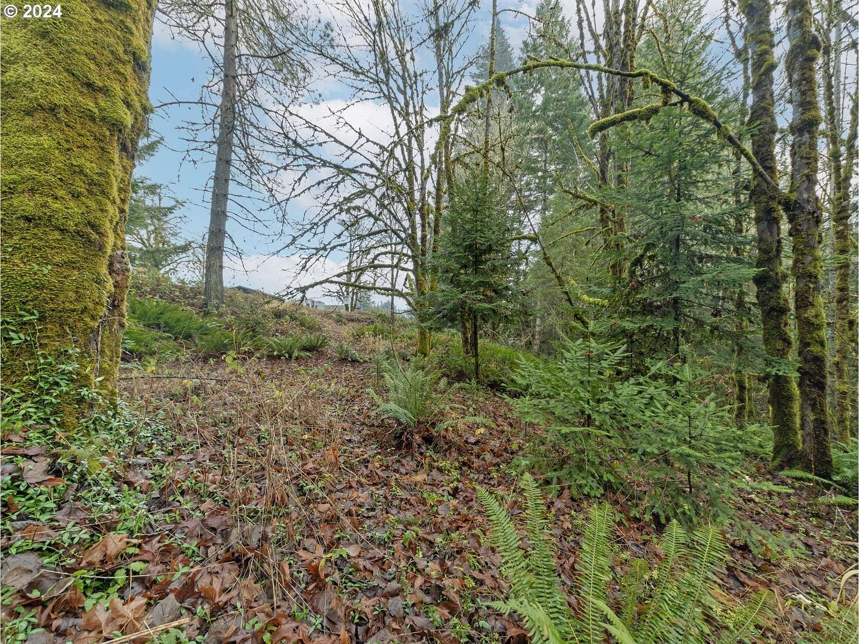 0.32 Acres of Residential Land for Sale in Vernonia, Oregon