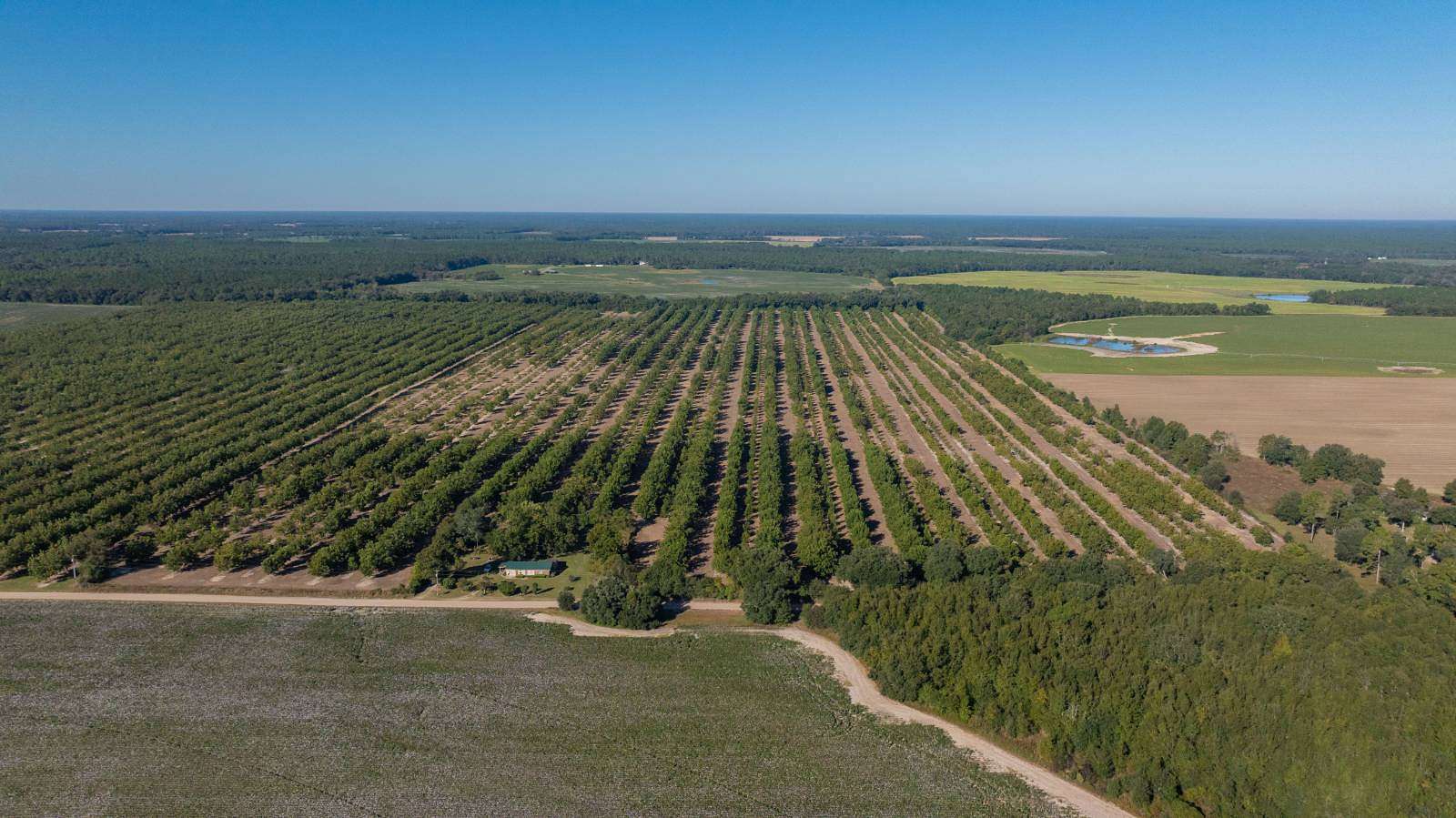 118.14 Acres of Agricultural Land for Sale in Camilla, Georgia