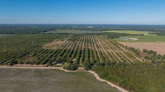 118.14 Acres of Agricultural Land for Sale in Camilla, Georgia