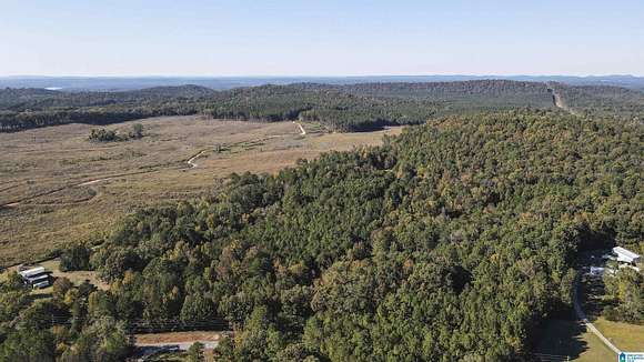 44.82 Acres of Recreational Land for Sale in Lincoln, Alabama