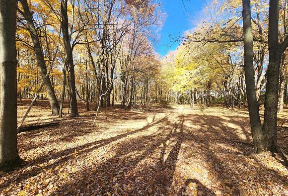 10.98 Acres of Recreational Land for Sale in Battle Creek, Michigan