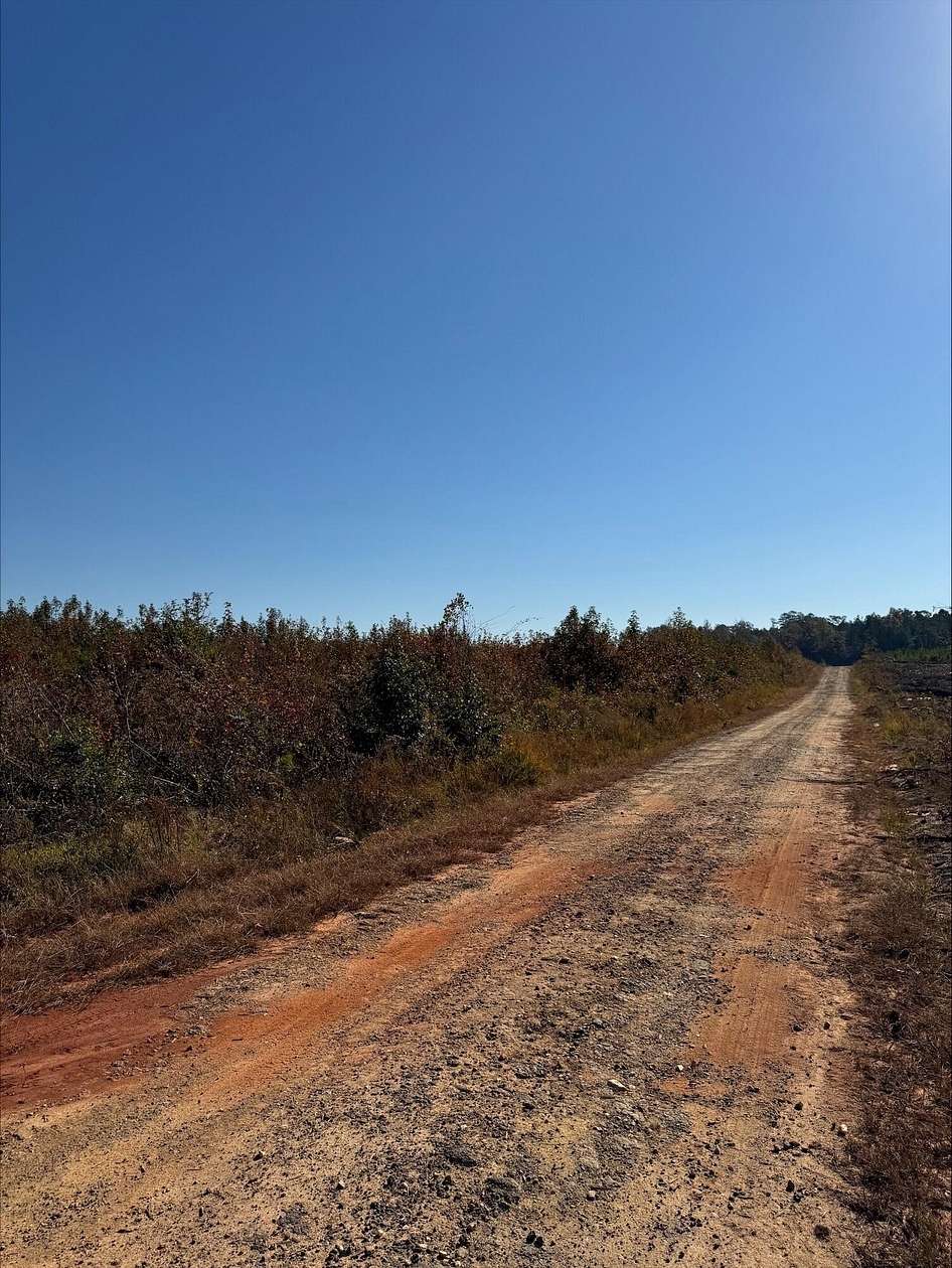 50 Acres of Recreational Land for Sale in Troy, South Carolina