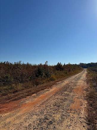 50 Acres of Recreational Land for Sale in Troy, South Carolina