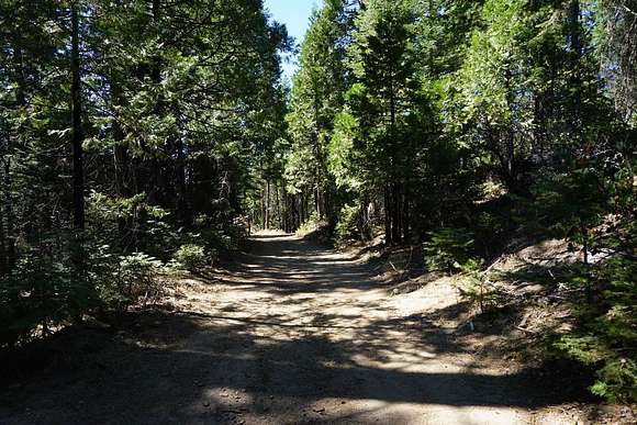 5.04 Acres of Residential Land for Sale in Shaver Lake, California