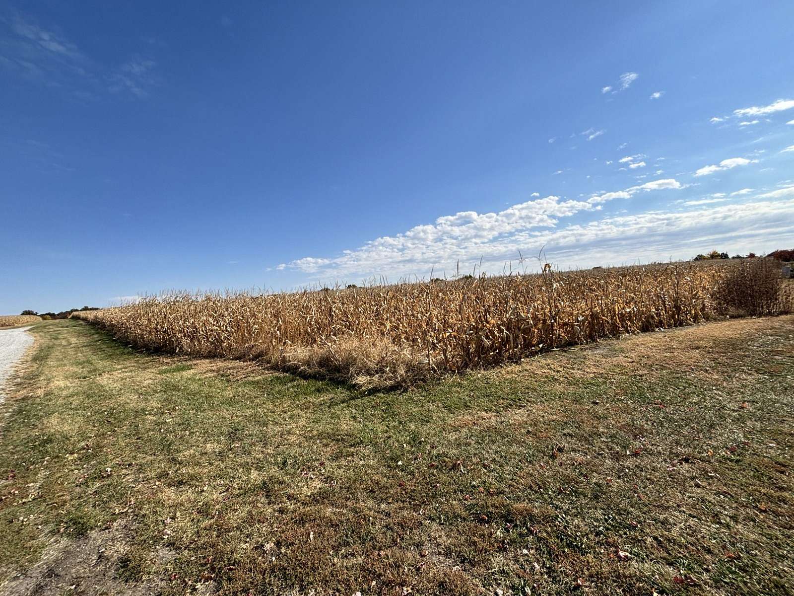 25 Acres of Agricultural Land for Sale in Chillicothe, Missouri