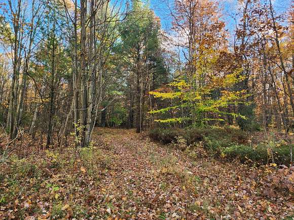 20.22 Acres of Recreational Land for Sale in Muskegon, Michigan