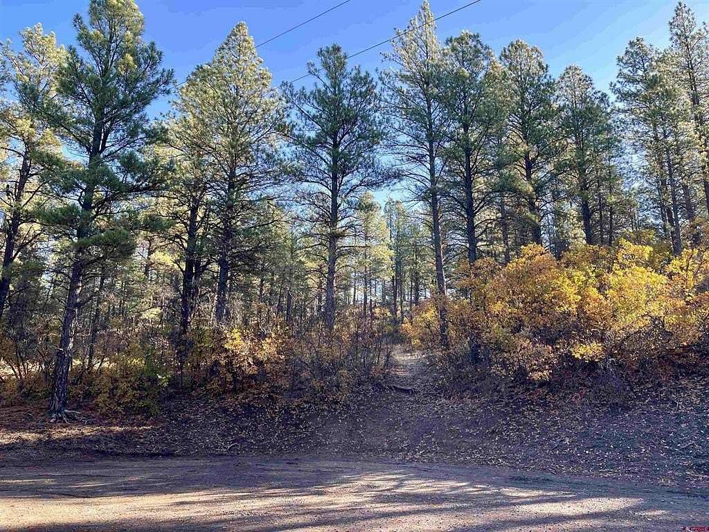 3.36 Acres of Residential Land for Sale in Pagosa Springs, Colorado