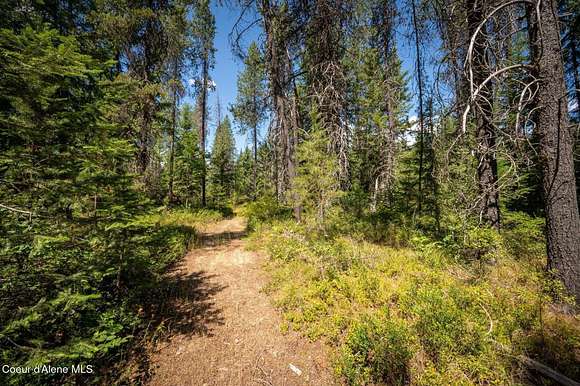 1.03 Acres of Residential Land for Sale in Spirit Lake, Idaho