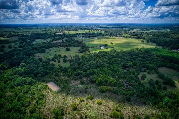 60 Acres of Agricultural Land for Sale in Palestine, Texas