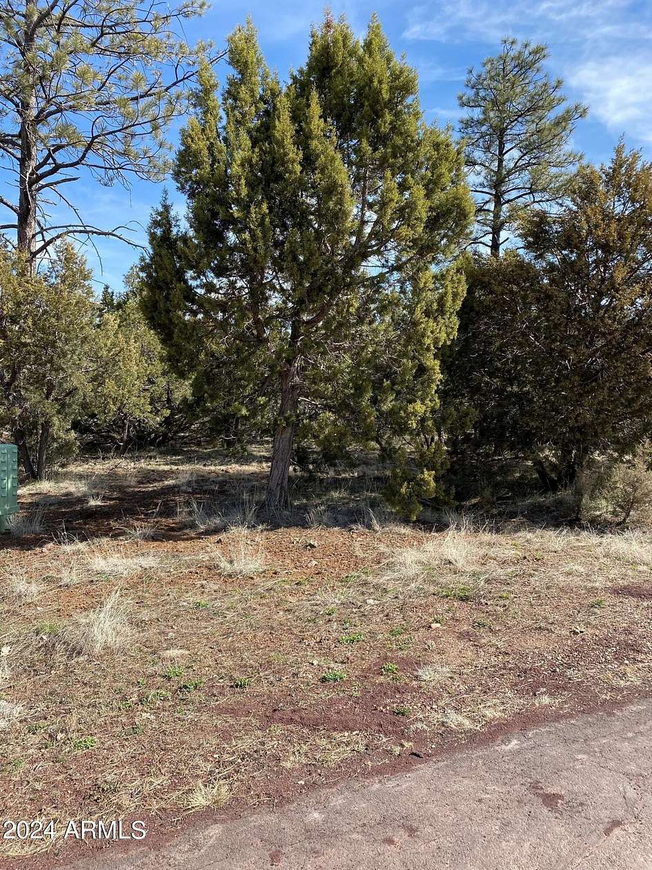 0.2 Acres of Residential Land for Sale in Lakeside, Arizona