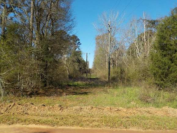 5 Acres of Residential Land for Sale in Headland, Alabama