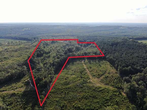 22 Acres of Recreational Land for Sale in Banks, Alabama