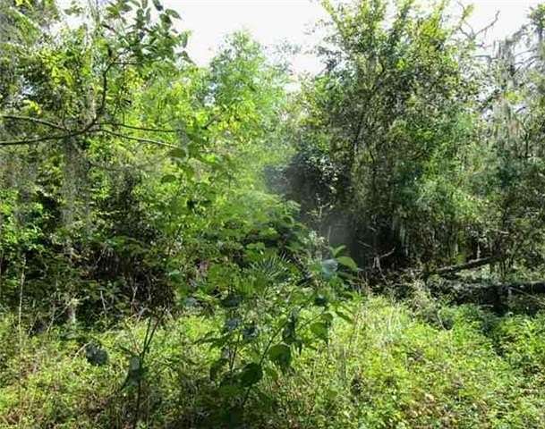 6.18 Acres of Residential Land for Sale in Jean Lafitte, Louisiana