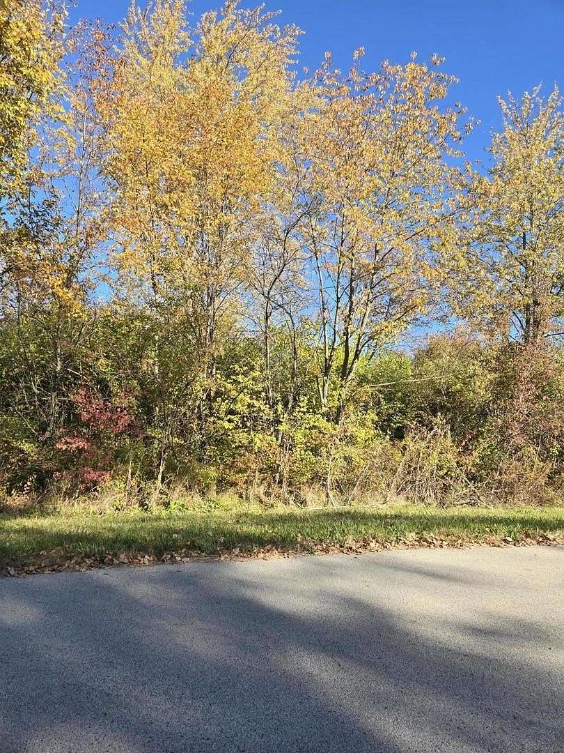 5 Acres of Residential Land for Sale in Monee, Illinois