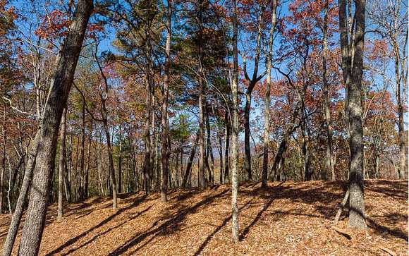 3.14 Acres of Residential Land for Sale in Ellijay, Georgia