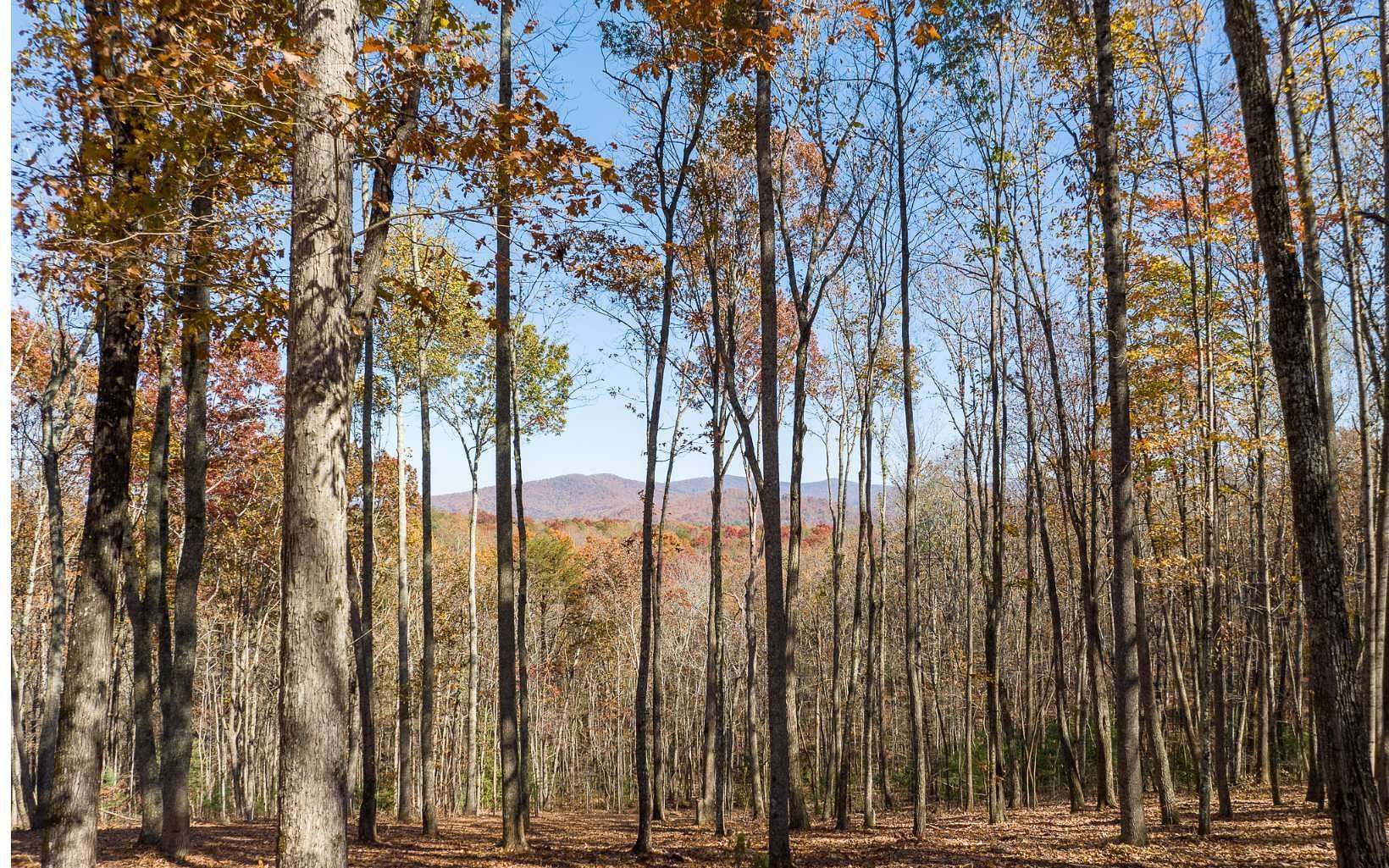 4.27 Acres of Land for Sale in Ellijay, Georgia