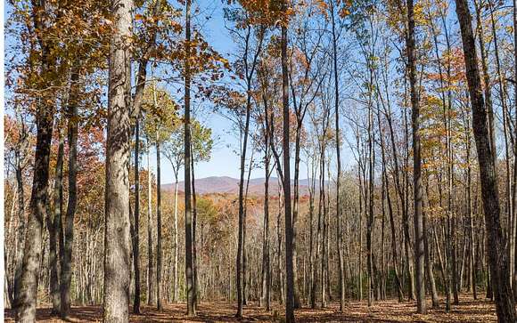 4.27 Acres of Land for Sale in Ellijay, Georgia