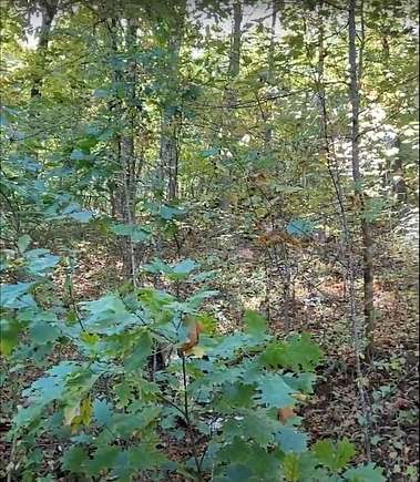 1.35 Acres of Land for Sale in Hiawassee, Georgia