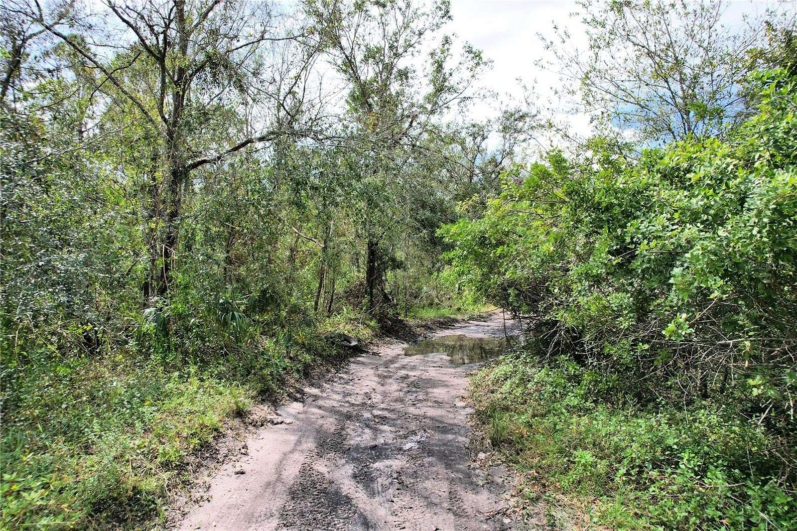 11.54 Acres of Land for Sale in Wimauma, Florida