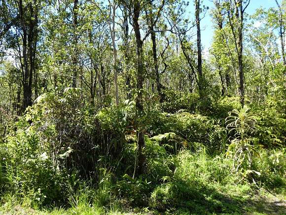 3 Acres of Residential Land with Home for Sale in Volcano, Hawaii