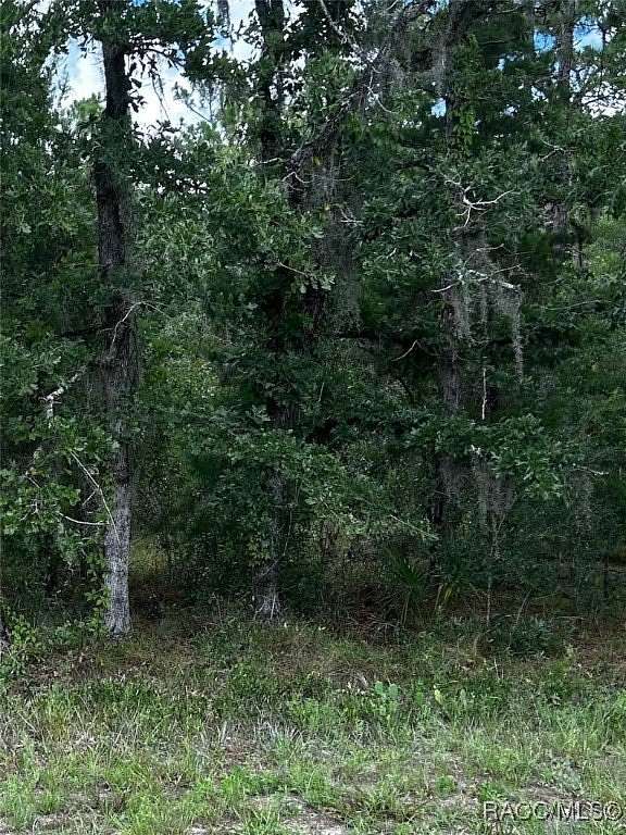 0.34 Acres of Residential Land for Sale in Homosassa, Florida