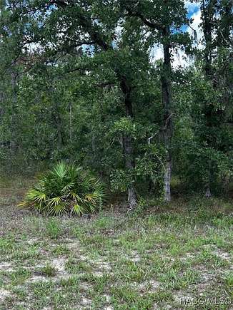 0.34 Acres of Residential Land for Sale in Homosassa, Florida