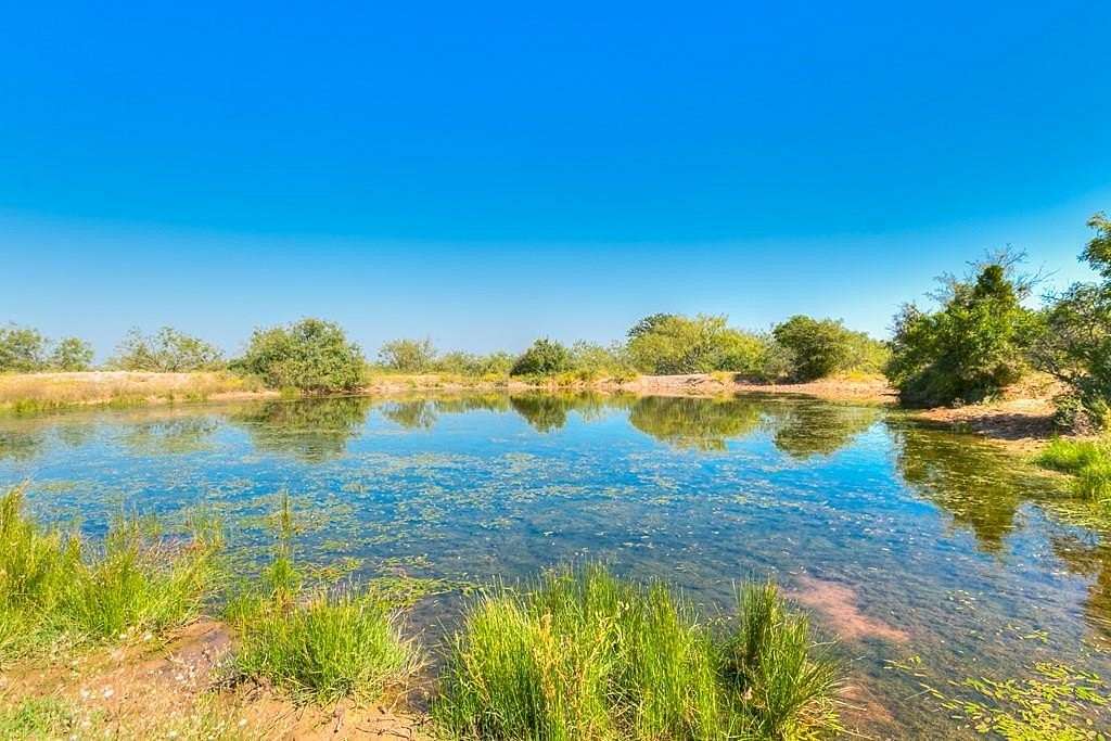 55 Acres of Recreational Land for Sale in Coleman, Texas