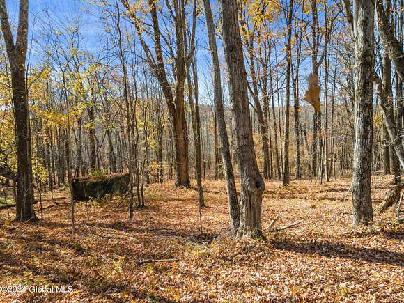 10.26 Acres of Recreational Land for Sale in Kortright Town, New York