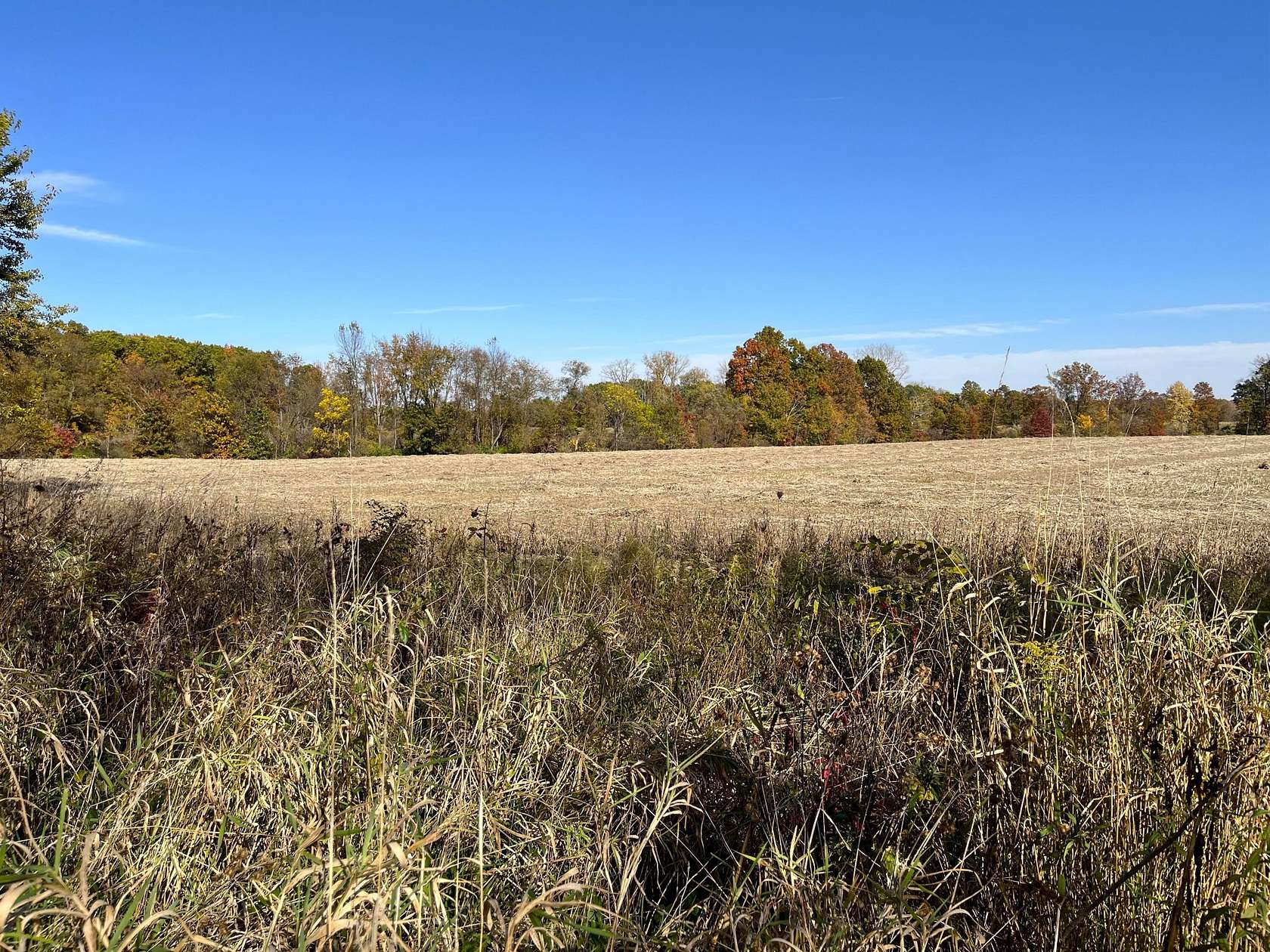 47.57 Acres of Land for Sale in Cassopolis, Michigan