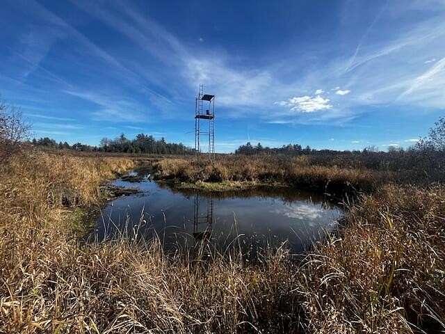 32.5 Acres of Recreational Land for Sale in Luther, Michigan - LandSearch