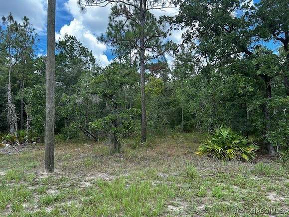 0.34 Acres of Residential Land for Sale in Homosassa, Florida