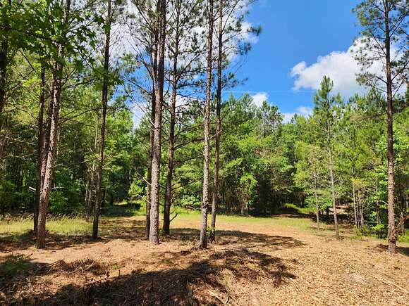 11.07 Acres of Recreational Land for Sale in McIntyre, Georgia