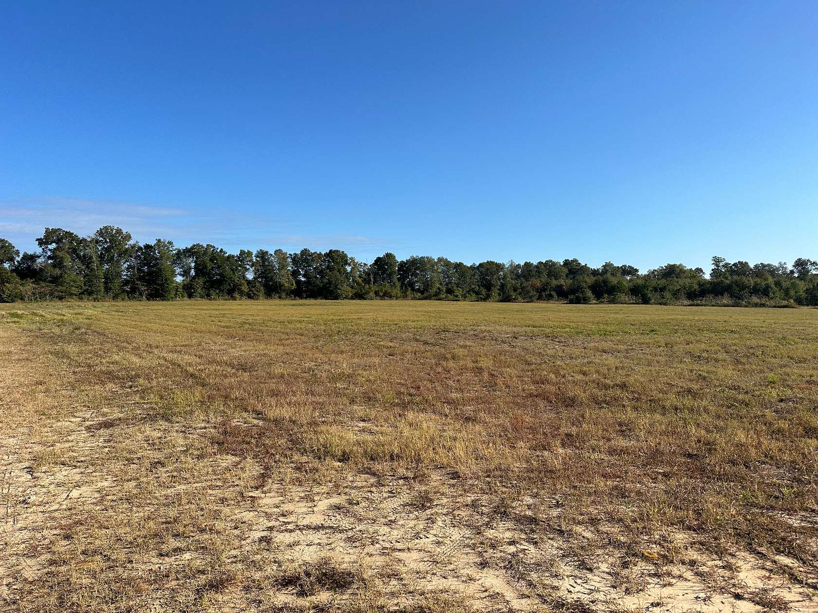 21 Acres of Land for Sale in Newton, Alabama