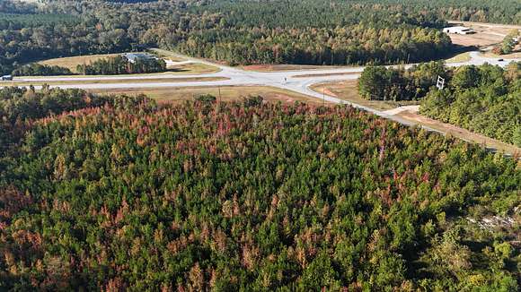 30 Acres of Recreational Land for Sale in Camp Hill, Alabama