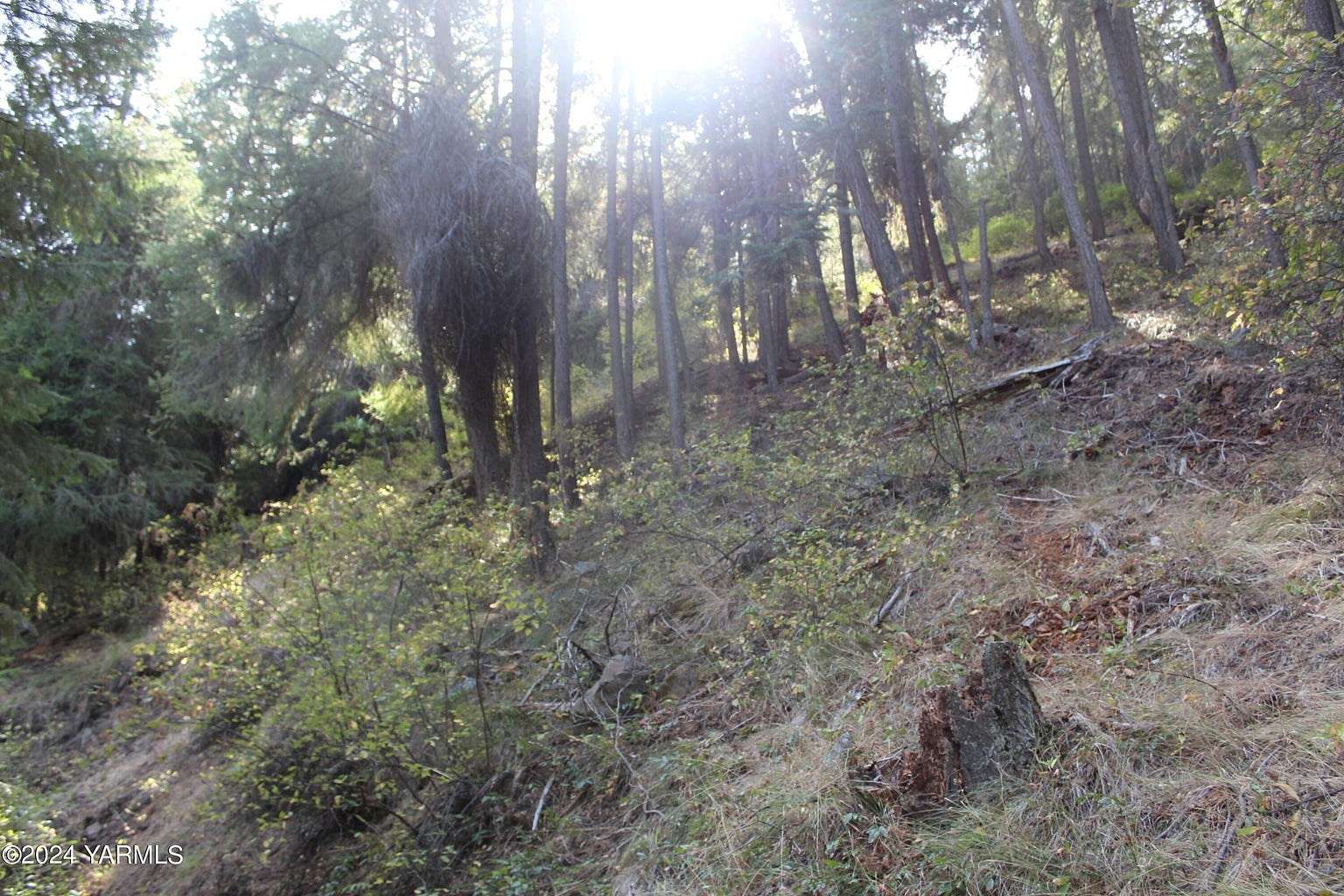 0.73 Acres of Residential Land for Sale in Naches, Washington