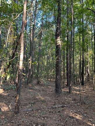 4.47 Acres of Land for Sale in Darlington, South Carolina