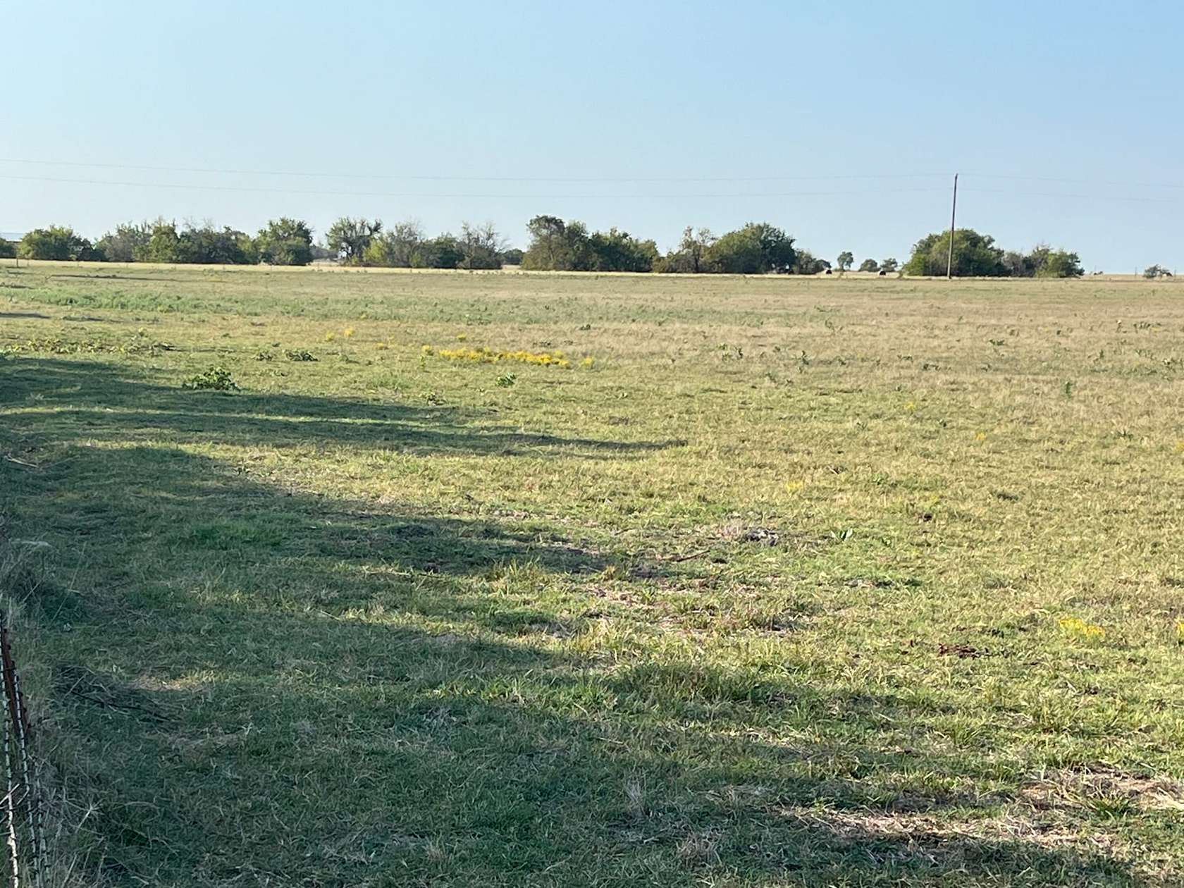 35 Acres of Recreational Land & Farm for Sale in Gainesville, Texas