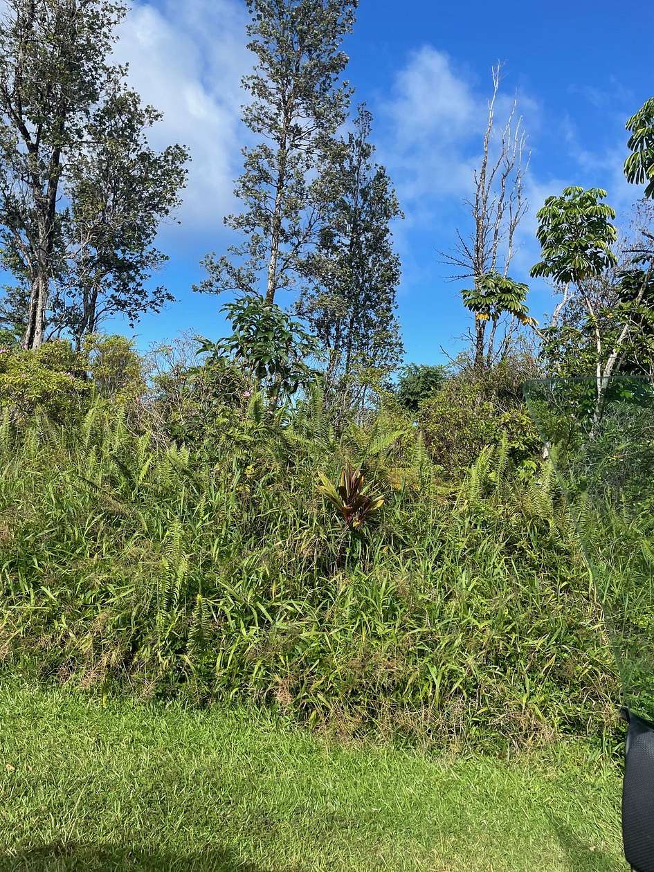 0.35 Acres of Residential Land for Sale in Pahoa, Hawaii