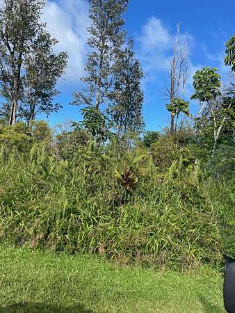 0.35 Acres of Residential Land for Sale in Pahoa, Hawaii