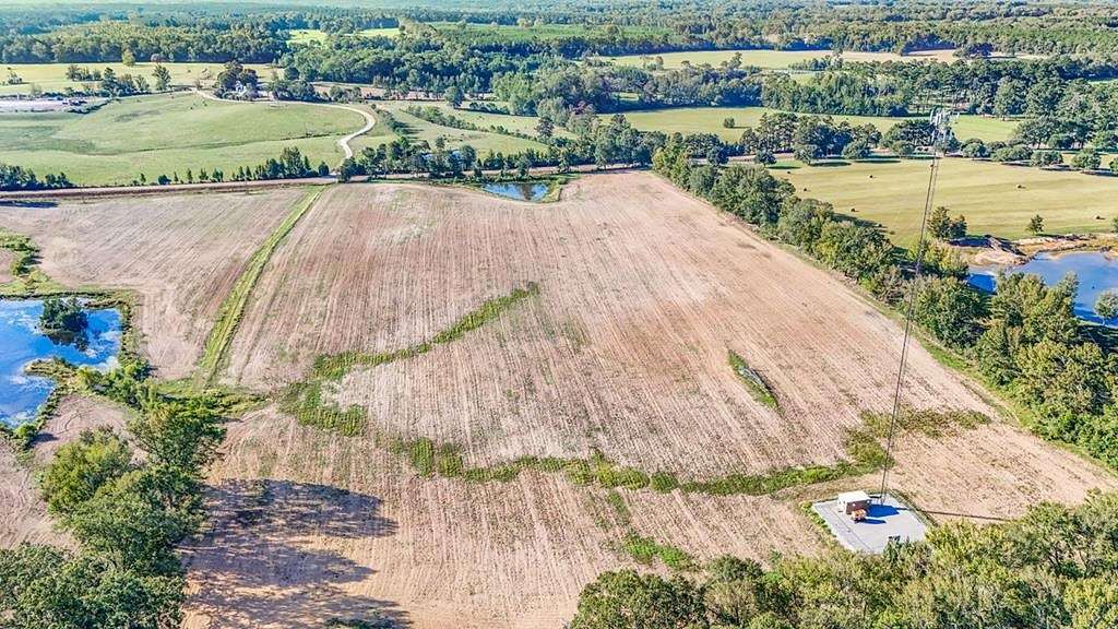 25 Acres of Agricultural Land for Sale in Centreville, Mississippi