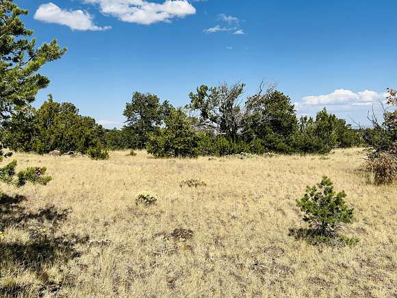 40 Acres of Recreational Land for Sale in Quemado, New Mexico