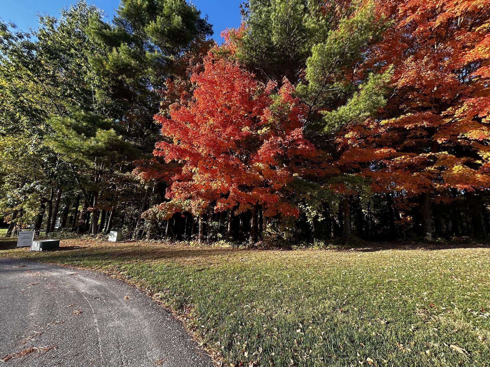 0.88 Acres of Residential Land for Sale in South Haven, Michigan