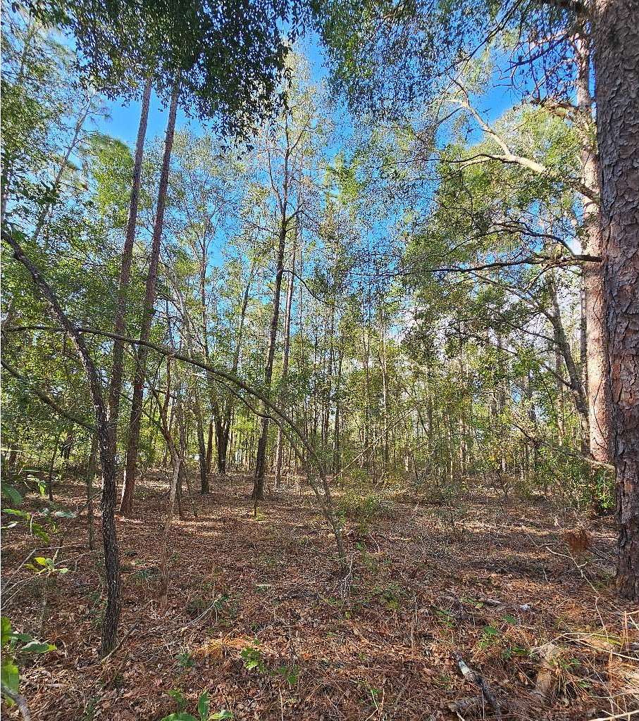 1.26 Acres of Residential Land for Sale in Live Oak, Florida