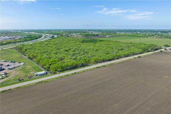 50.77 Acres of Land for Sale in Kingsville, Texas