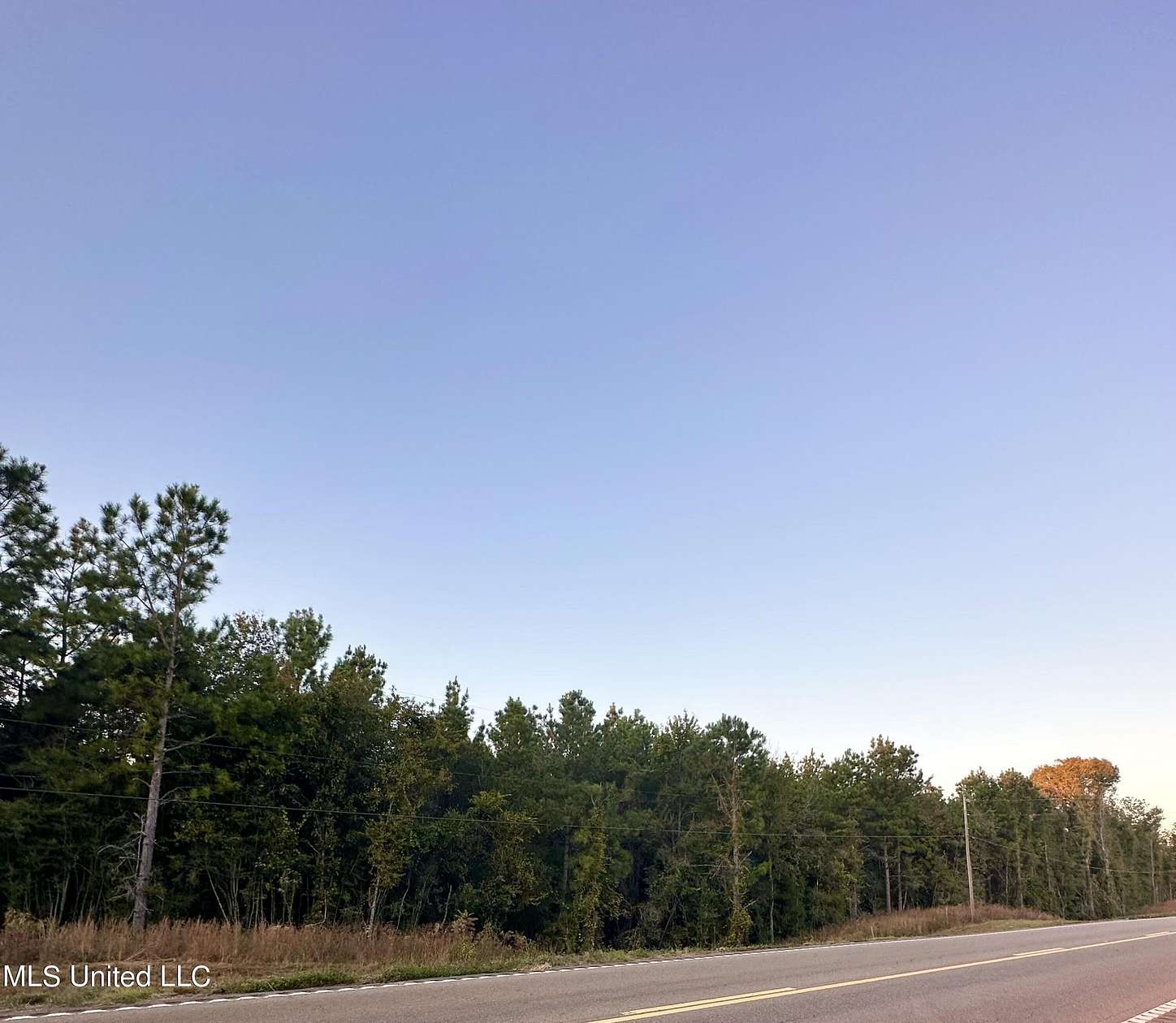 89 Acres of Recreational Land for Sale in Magee, Mississippi