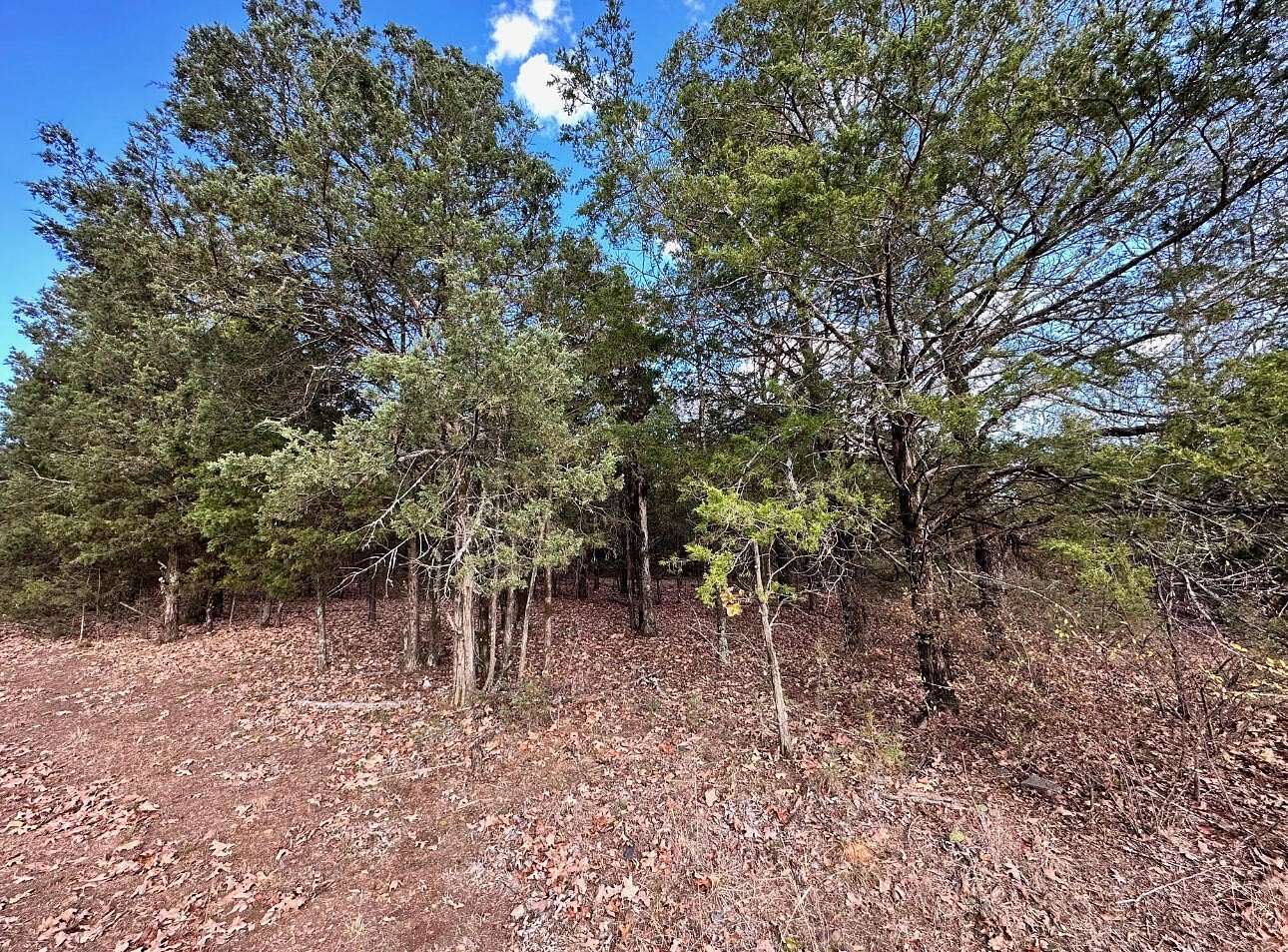 1 Acre of Residential Land for Sale in Russellville, Arkansas