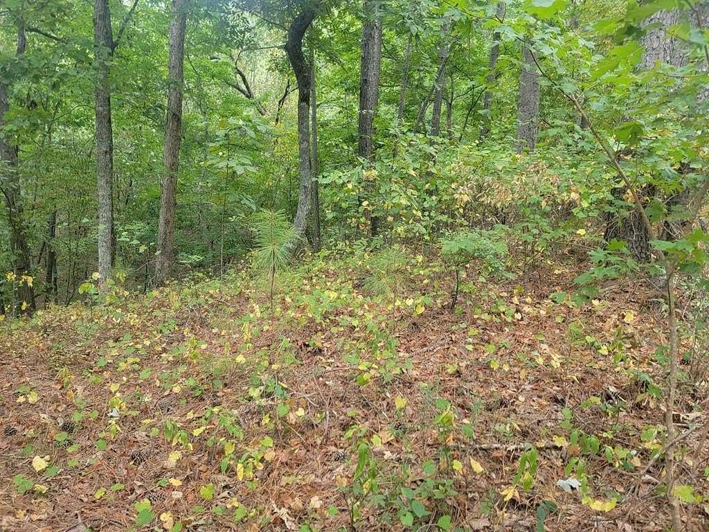 1.03 Acres of Land for Sale in Ranger, Georgia