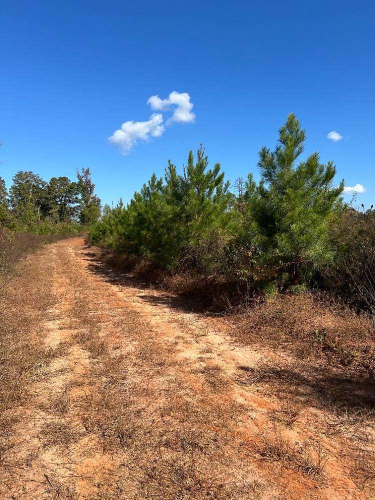 39 Acres of Land for Sale in Evergreen, Alabama